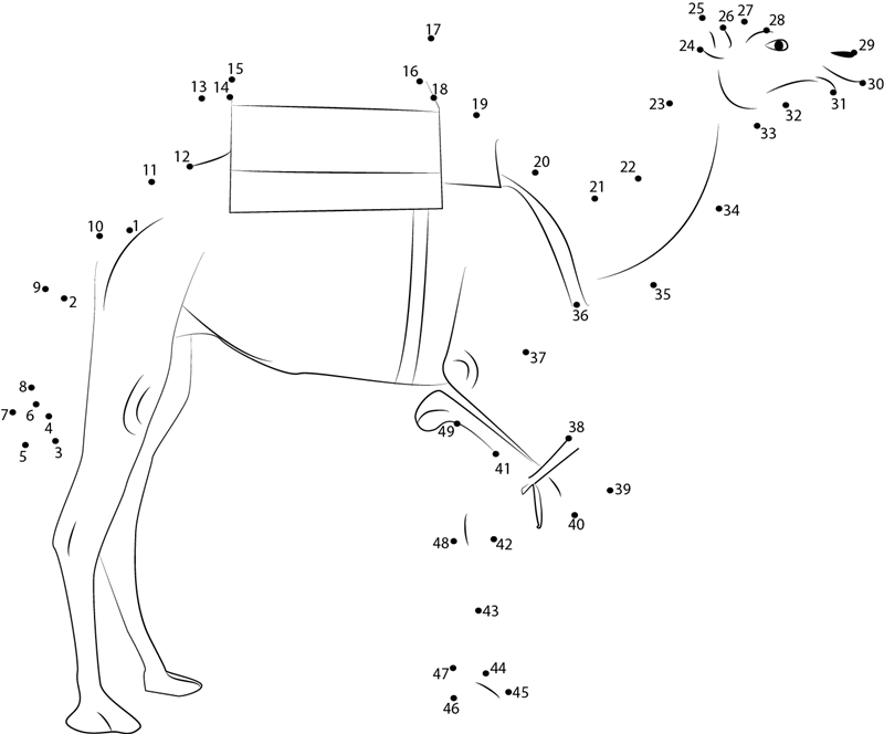 Camel Three Legs dot to dot worksheets