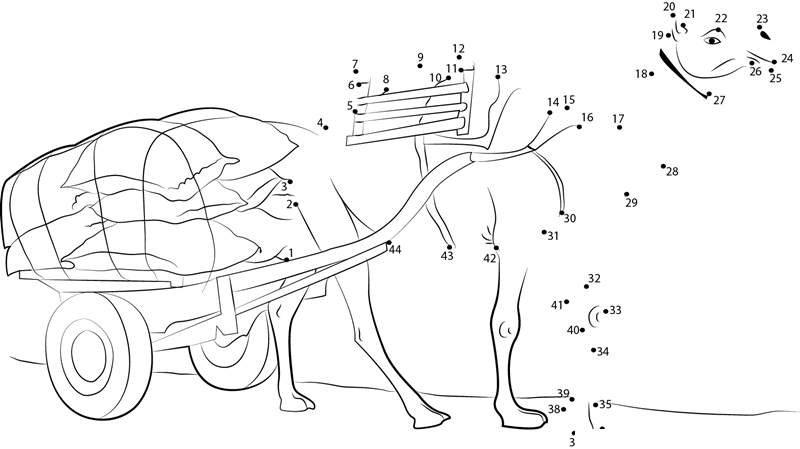 Camel Work printable dot to dot worksheet