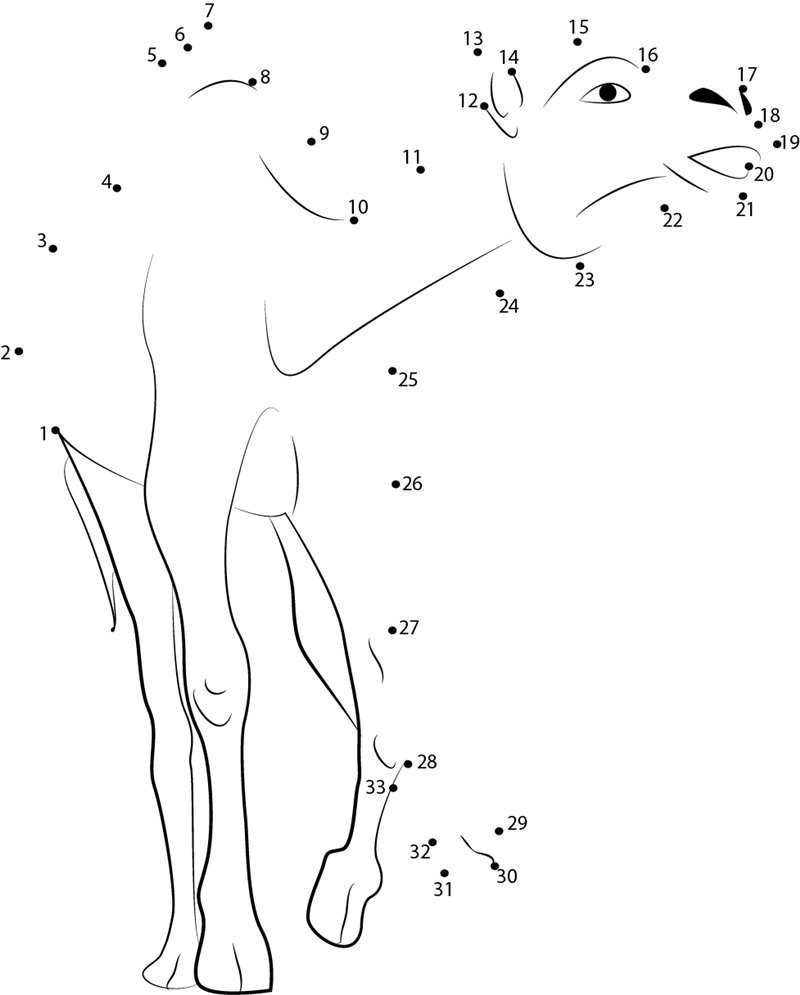 Crazy Camel Running dot to dot worksheets