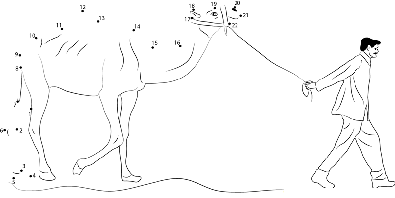 Man Leading Camel printable dot to dot worksheet