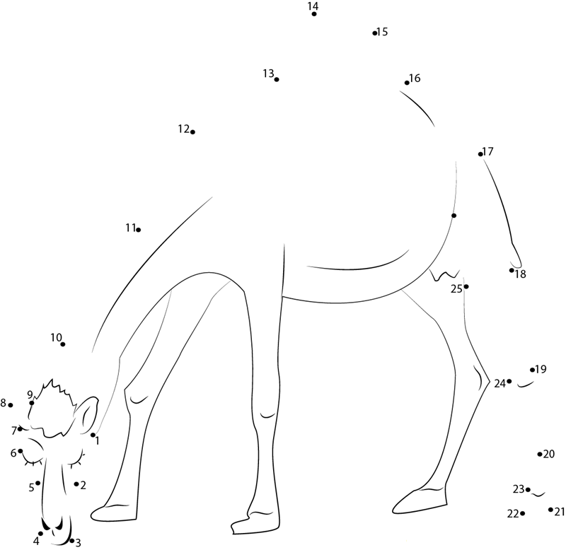 Oman Camel printable dot to dot worksheet