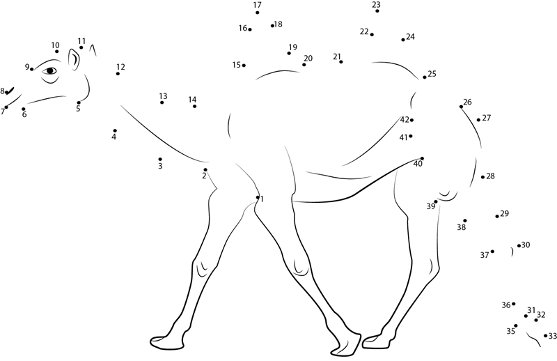 Two Humped Bactrian Camel dot to dot worksheets