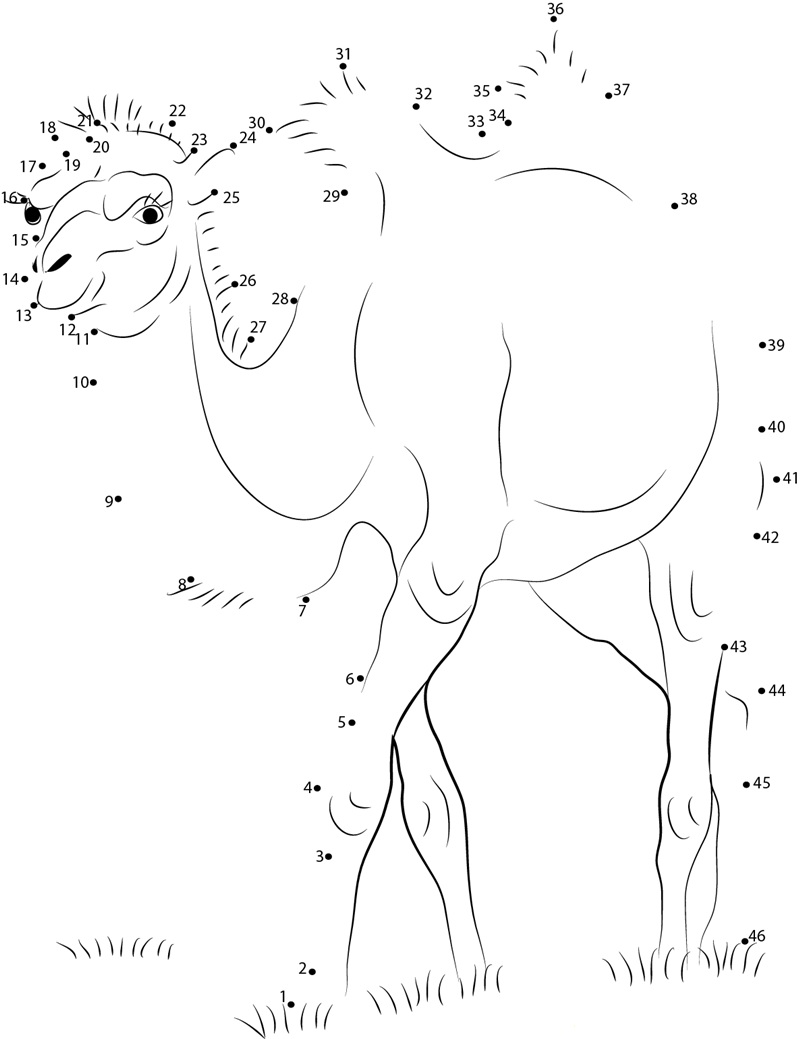 Two Humps Camel printable dot to dot worksheet