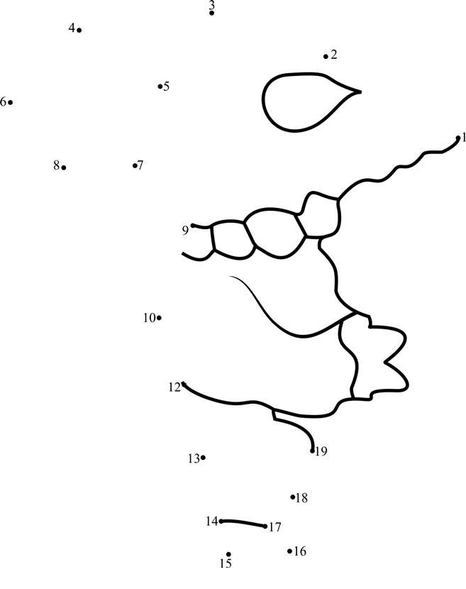 Lizard-Librarian-Dot-To-Dot dot to dot worksheets