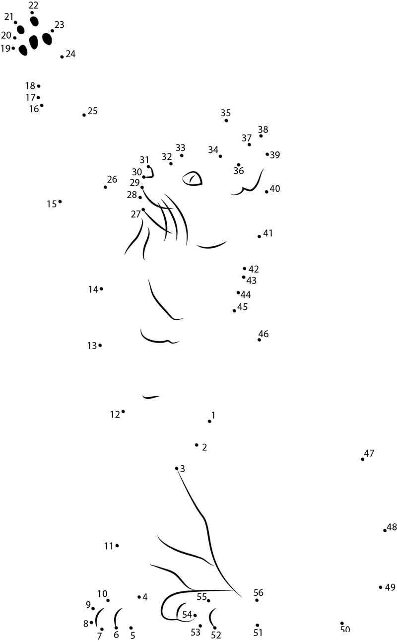 Bengal Cat dot to dot worksheets