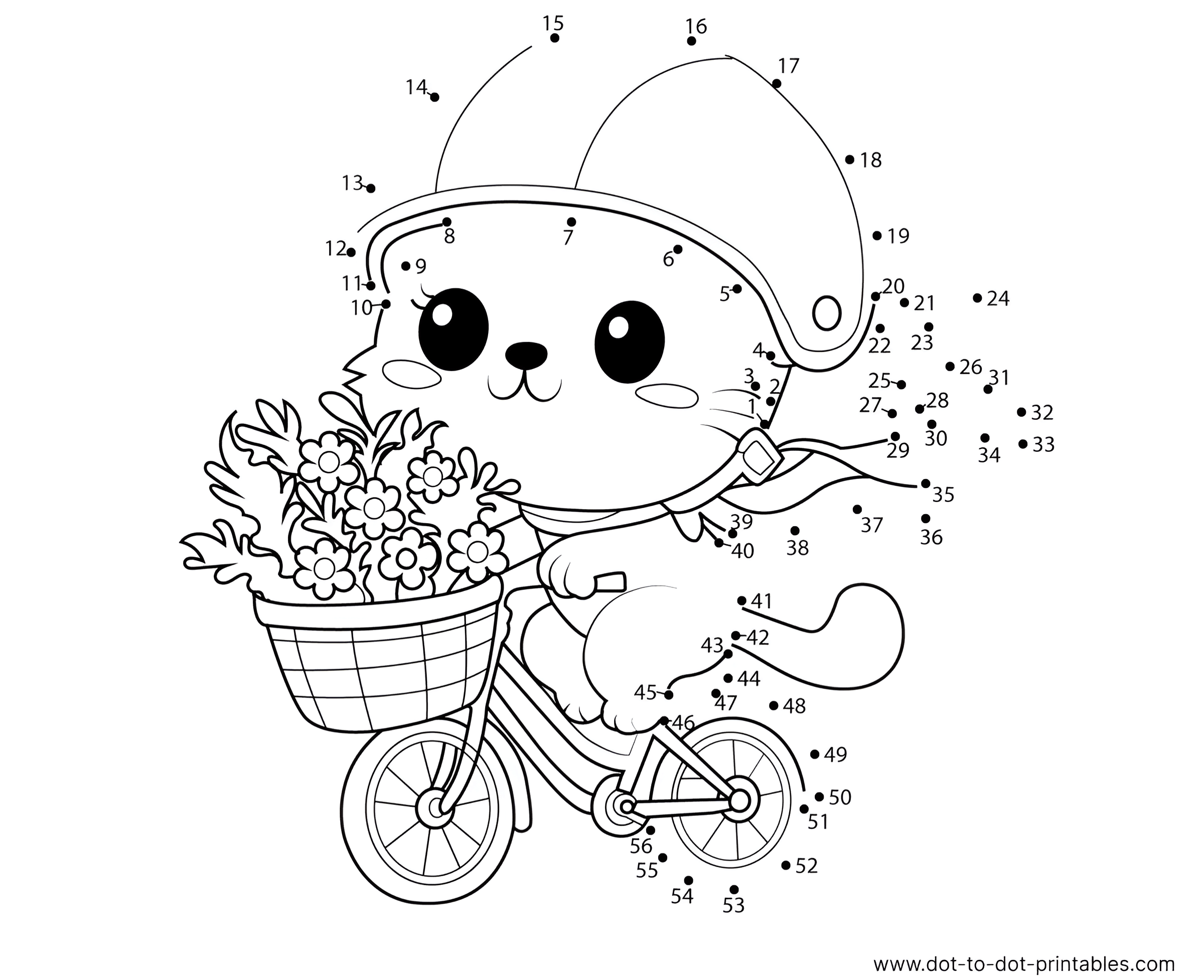 Cat Riding A Bicycle