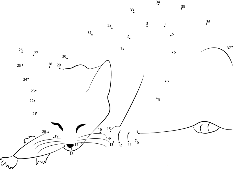 Cat Eats Fish dot to dot worksheets