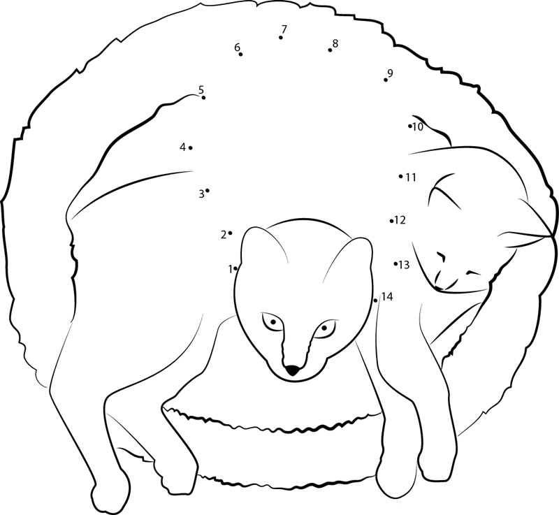 Cat In Ellipse Sleeping dot to dot worksheets