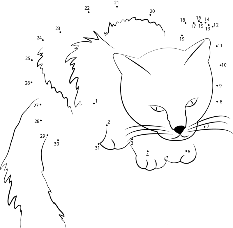 Cat Noty dot to dot worksheets