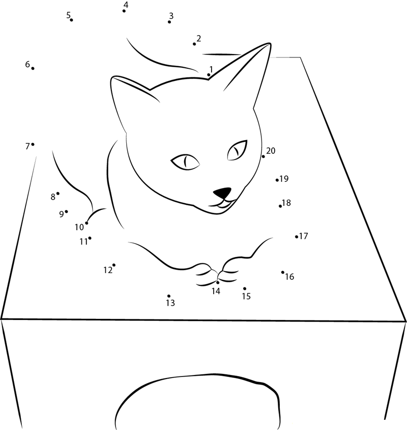 Cat On Box dot to dot worksheets