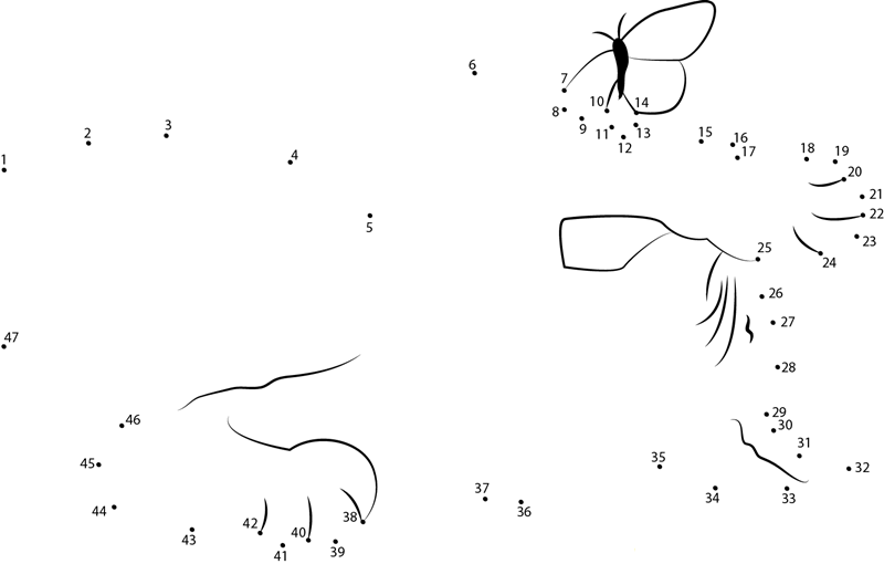 Cat Playing With Butterfly dot to dot worksheets