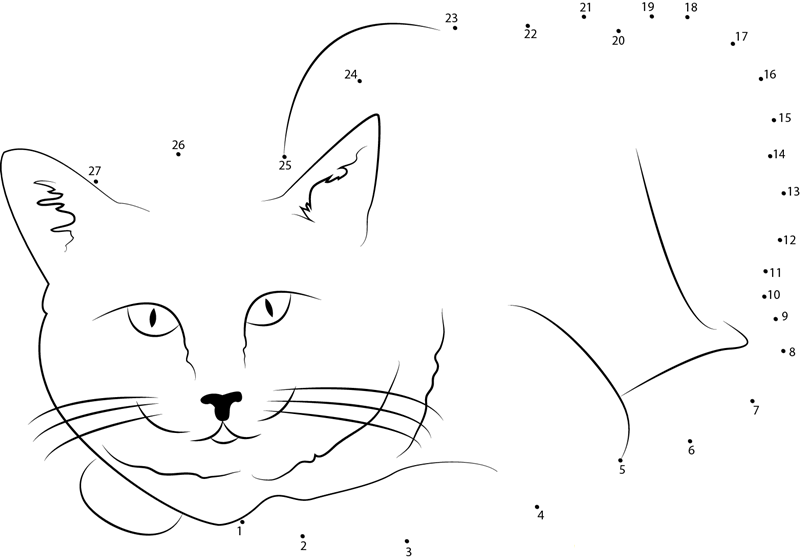 Cat Sedation dot to dot worksheets