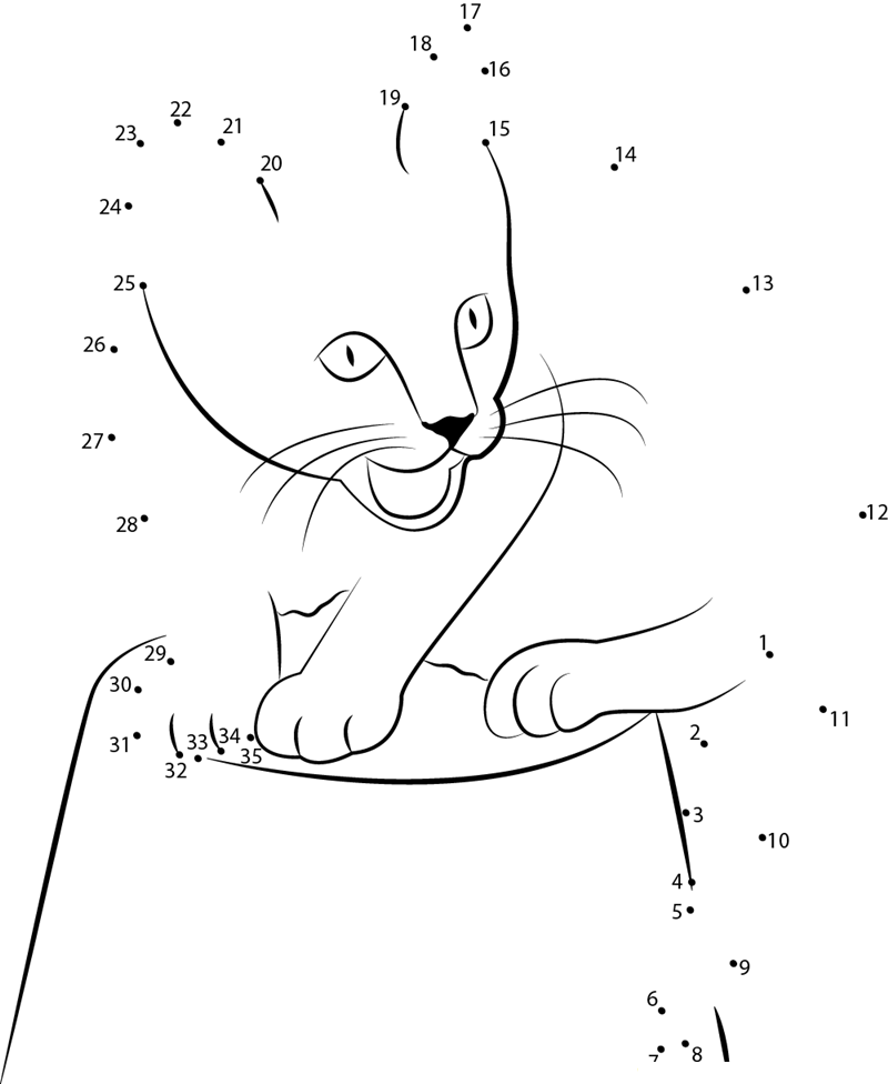 Cat Up Pot dot to dot worksheets