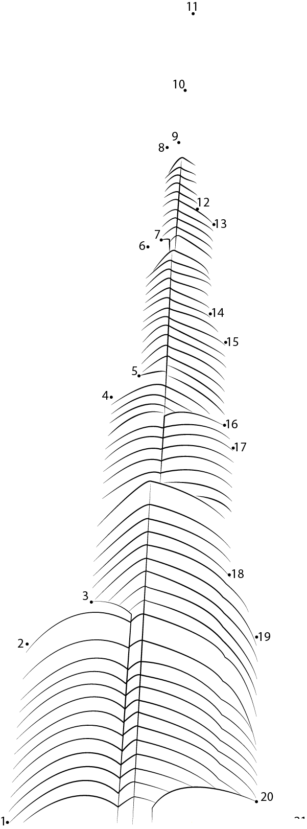 Burj Khalifa Dubai printable dot to dot worksheet