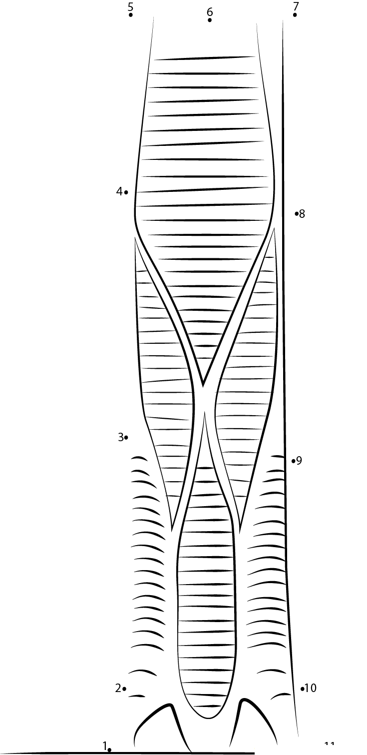 Father And Son Skyscraper printable dot to dot worksheet