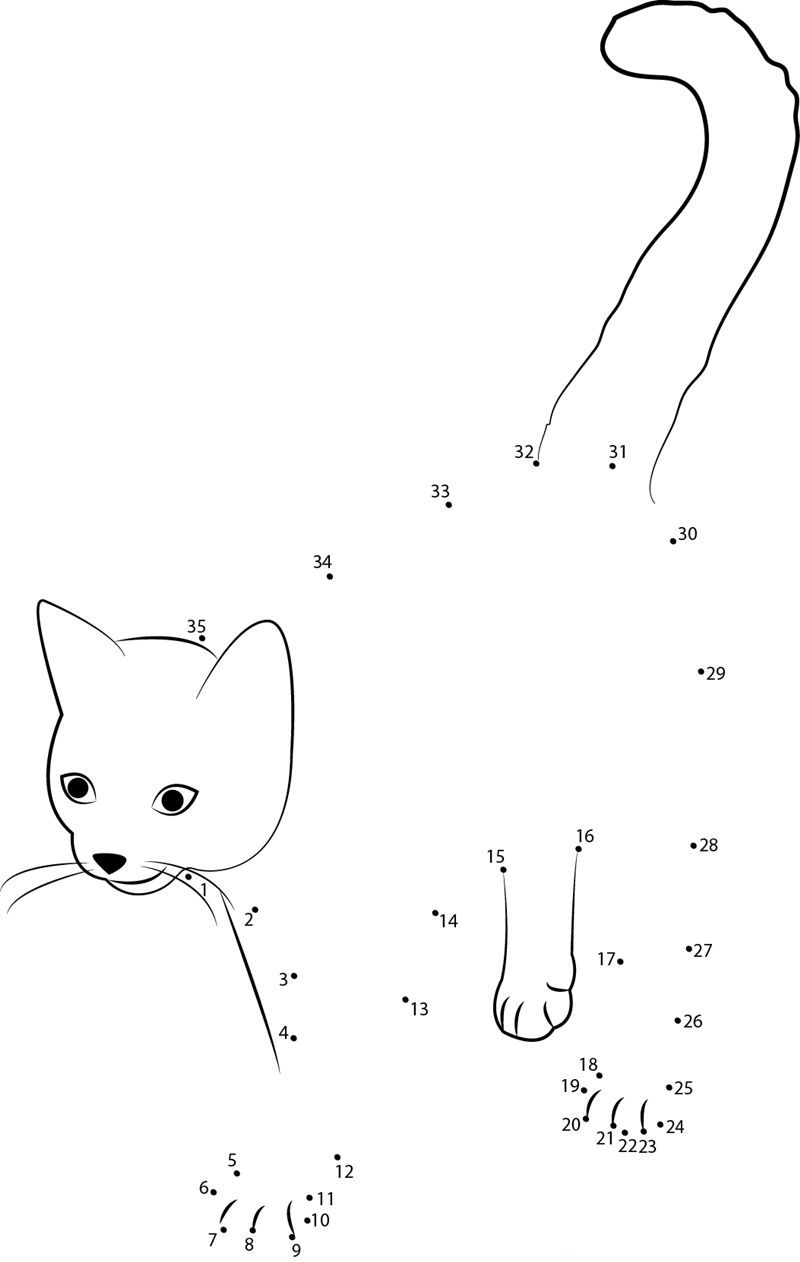 Cute Cat dot to dot worksheets