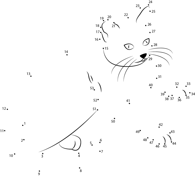 Cute Kitty dot to dot worksheets