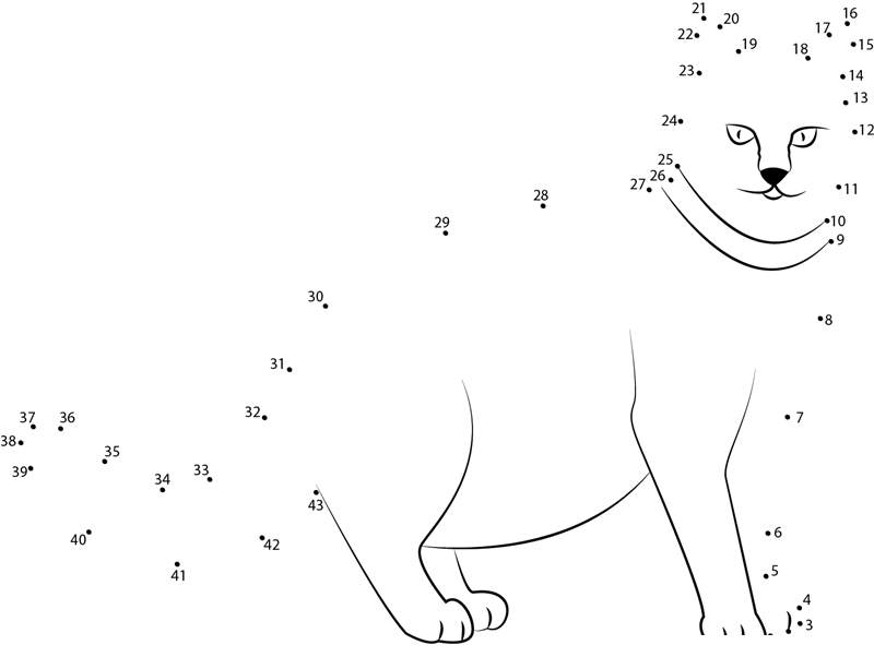 Fat Cat dot to dot worksheets