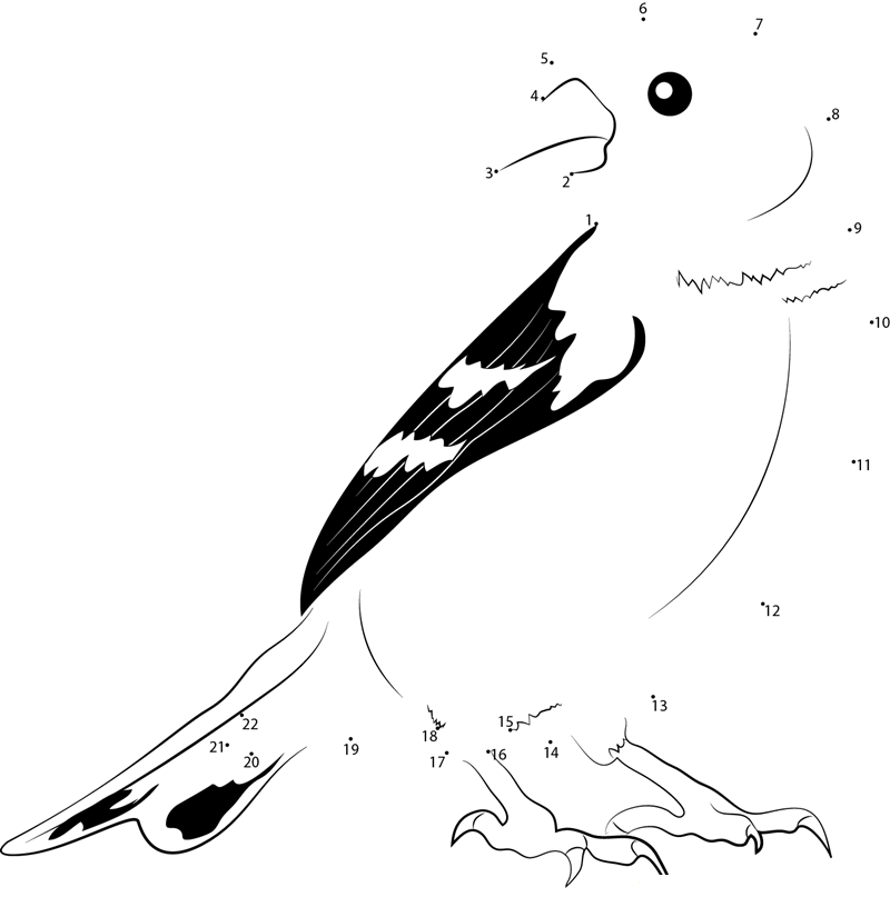 American Goldfinch Look Back dot to dot worksheet