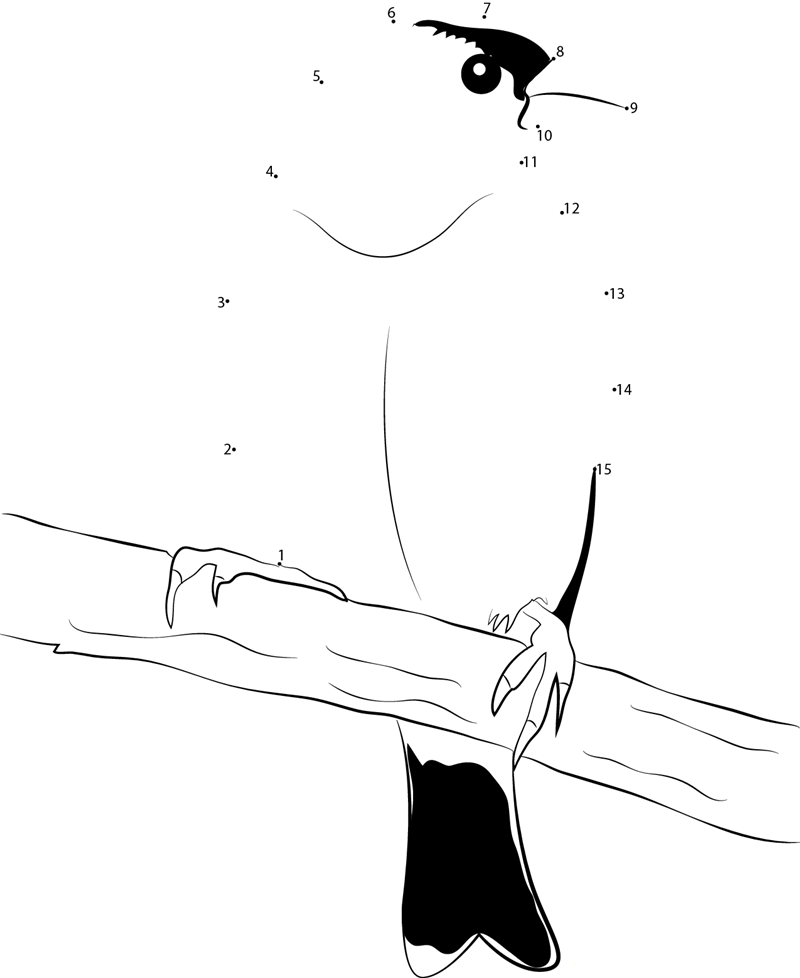 Carduelis Tristis dot to dot worksheets