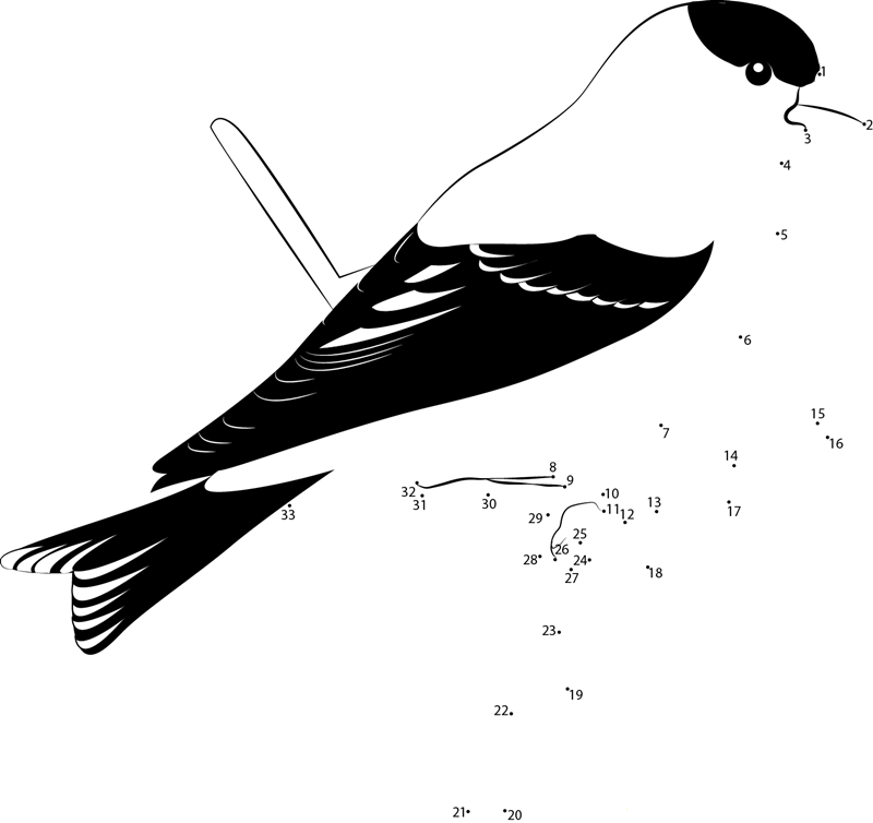 Goldfinch dot to dot worksheets