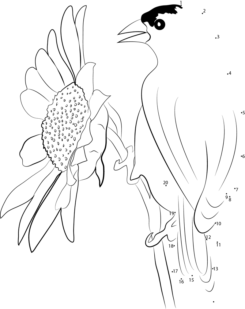 Goldfinch On Sunflower printable dot to dot worksheet