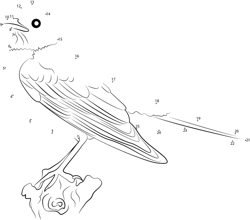 American Robin In New York City printable dot to dot worksheet