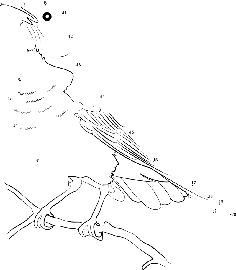 American Robin In Yellowstone National Park printable dot to dot worksheet