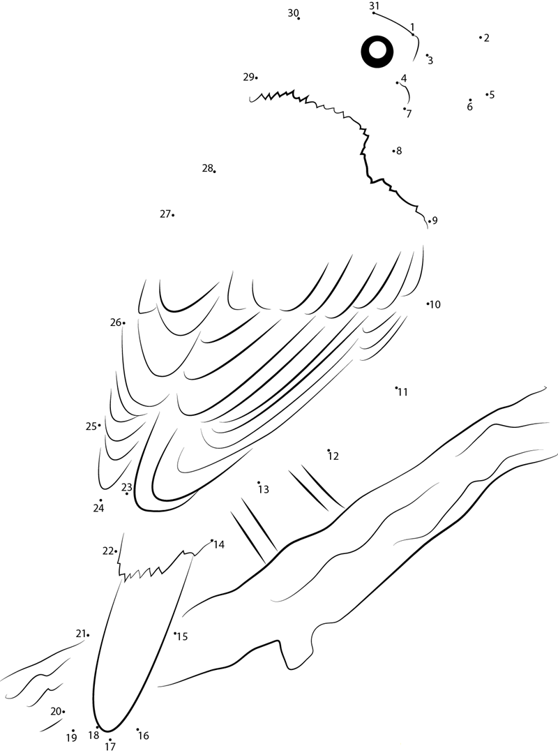 American Robin On Downed Sycamore Tree printable dot to dot worksheet