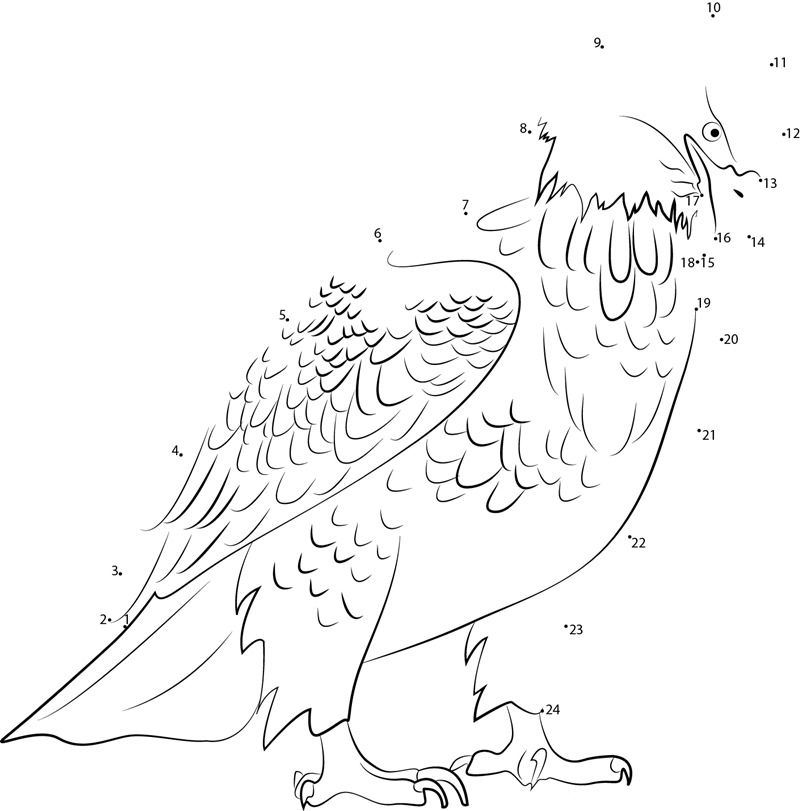 Awesome Bald Eagle dot to dot worksheets