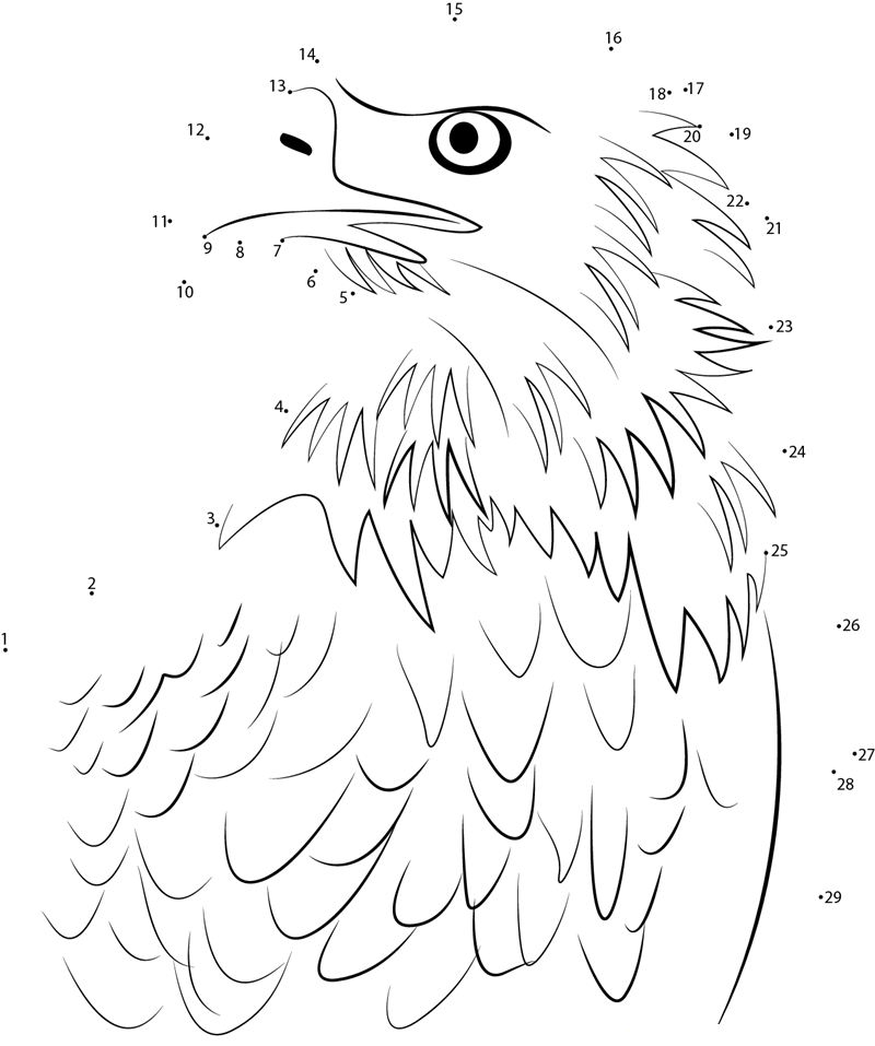 Bald Eagle Portrait dot to dot worksheets