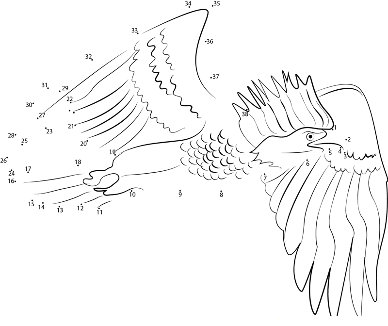 Bald Eagle Spiked Hair Color dot to dot worksheets