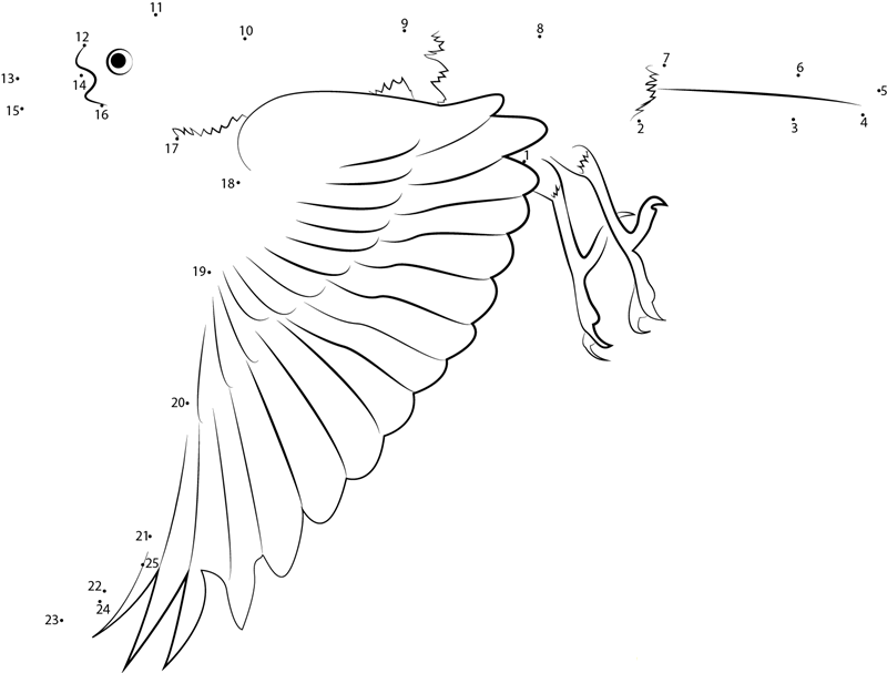 Baltimore Oriole In Flight printable dot to dot worksheet