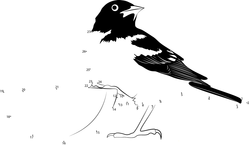 Baltimore Oriole Juvenile Male printable dot to dot worksheet