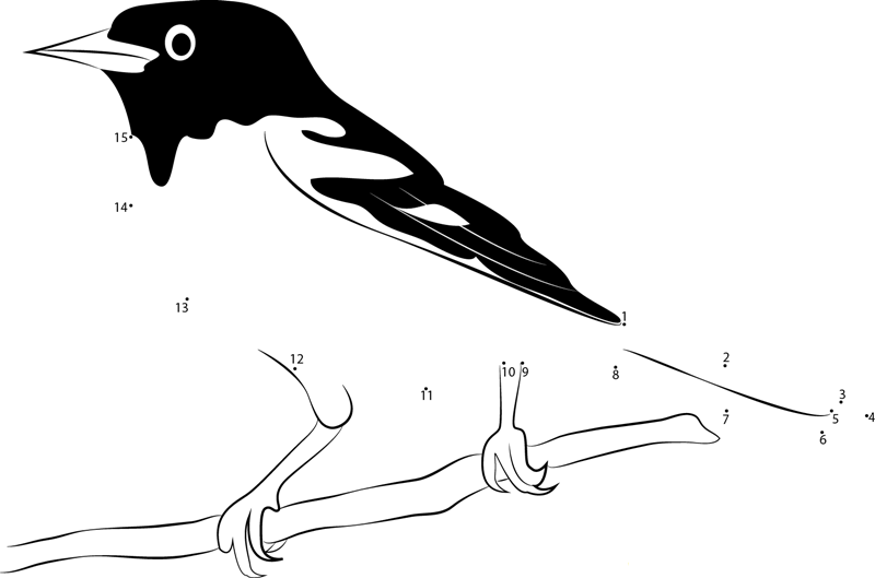 Baltimore Oriole Photo printable dot to dot worksheet