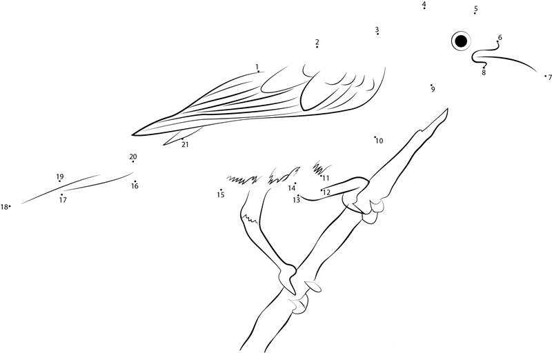 Baltimore Orioleicterus Galbula printable dot to dot worksheet