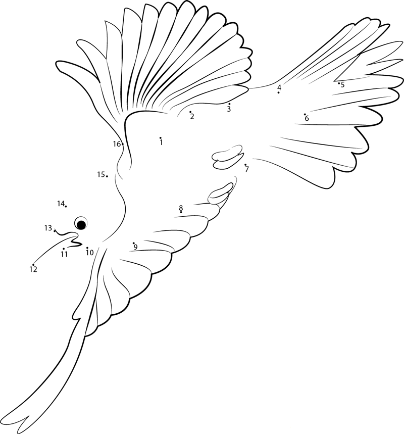 Flying Female Baltimore Oriole printable dot to dot worksheet