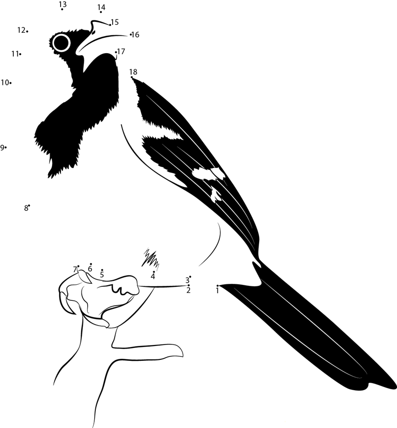 Icterid Blackbird printable dot to dot worksheet