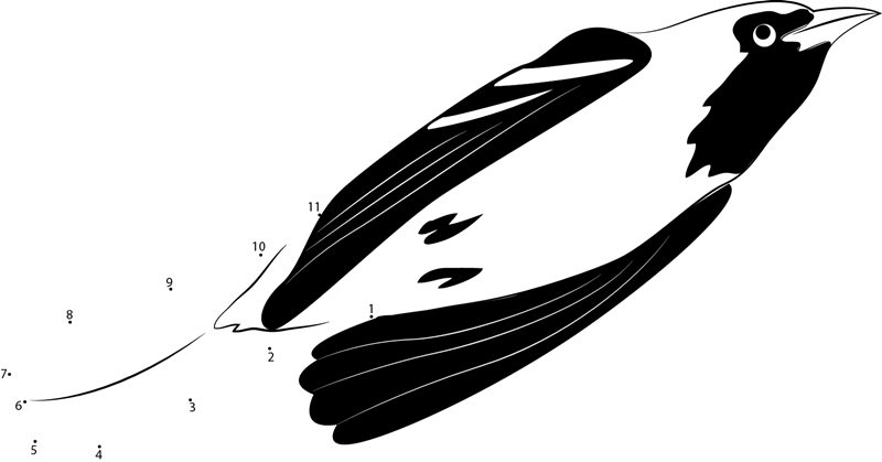 Orchard Oriole In Flight printable dot to dot worksheet