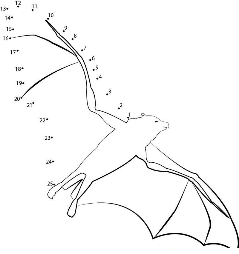 Freely Flying Bat printable dot to dot worksheet