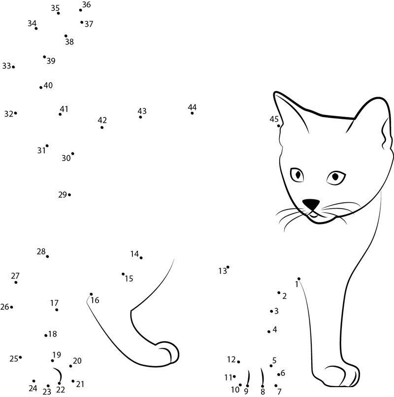 Kitten White Background dot to dot worksheets