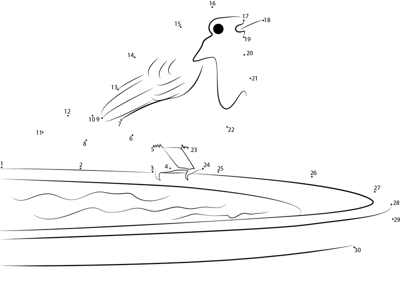 Robin On Frozen Bird Bath printable dot to dot worksheet