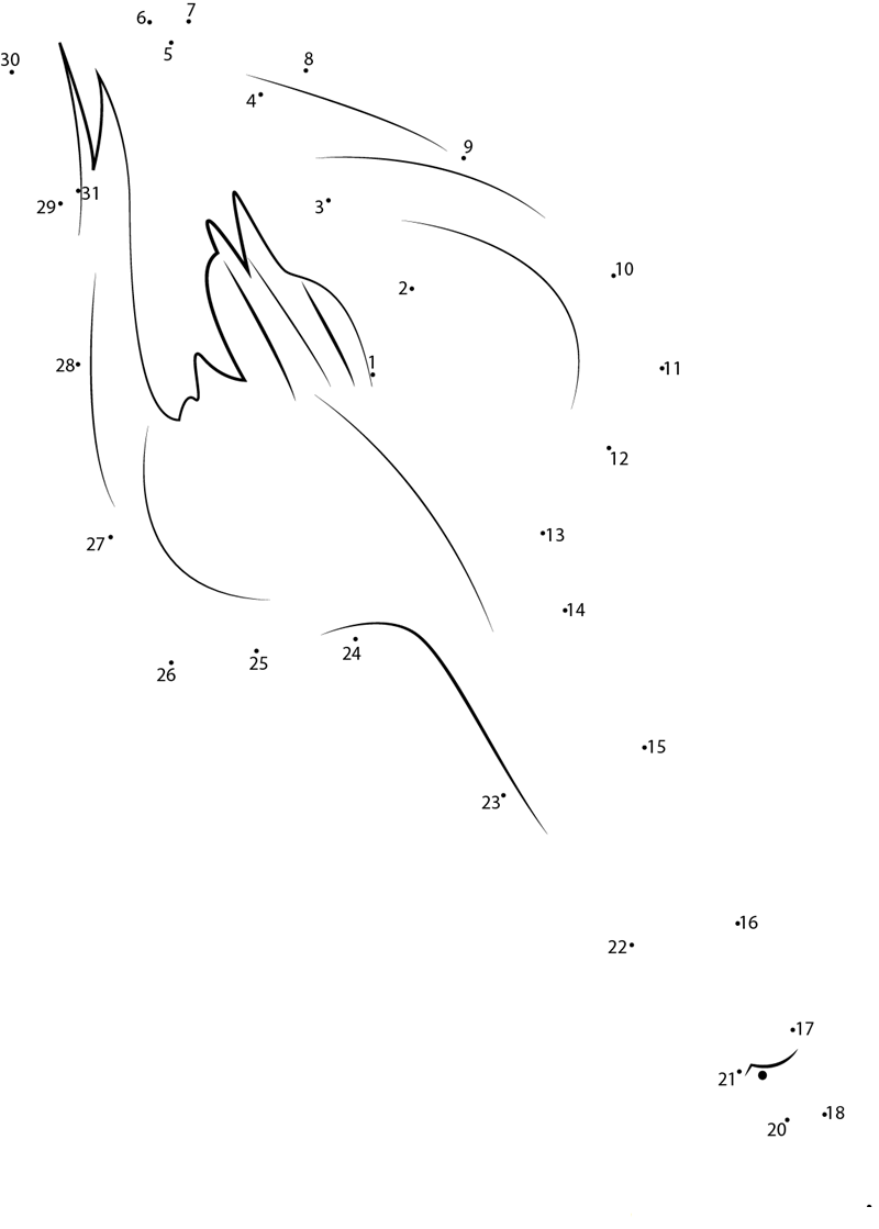 Blue Footed Booby Diving For Fish printable dot to dot worksheet