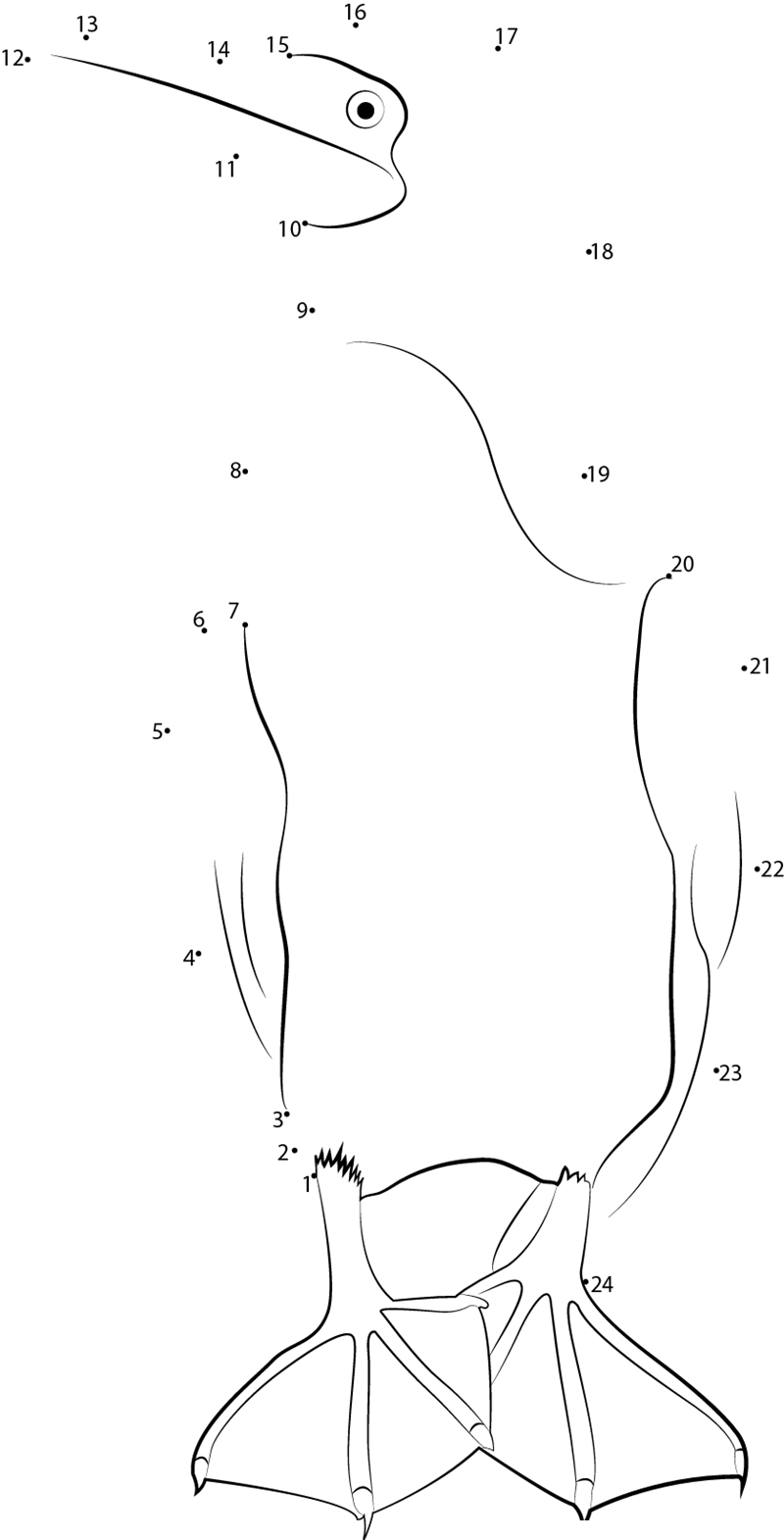 Cute Blue Footed Booby printable dot to dot worksheet