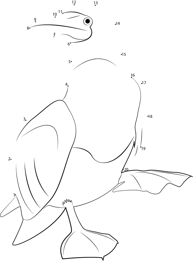 Juvenile Blue Footed Booby printable dot to dot worksheet