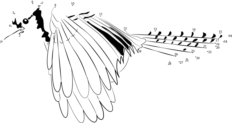 Blue Jay Fly printable dot to dot worksheet