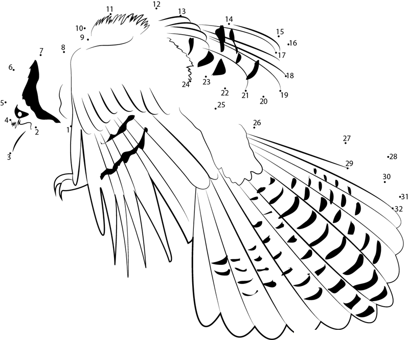 Blue Jay Landing printable dot to dot worksheet