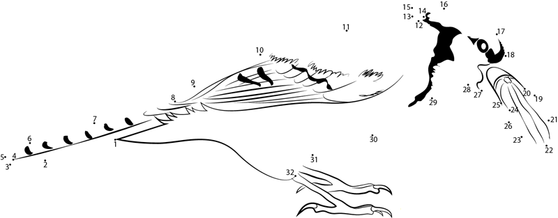 Blue Jay With Peanut printable dot to dot worksheet