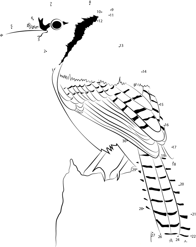 Cute Blue Jay printable dot to dot worksheet