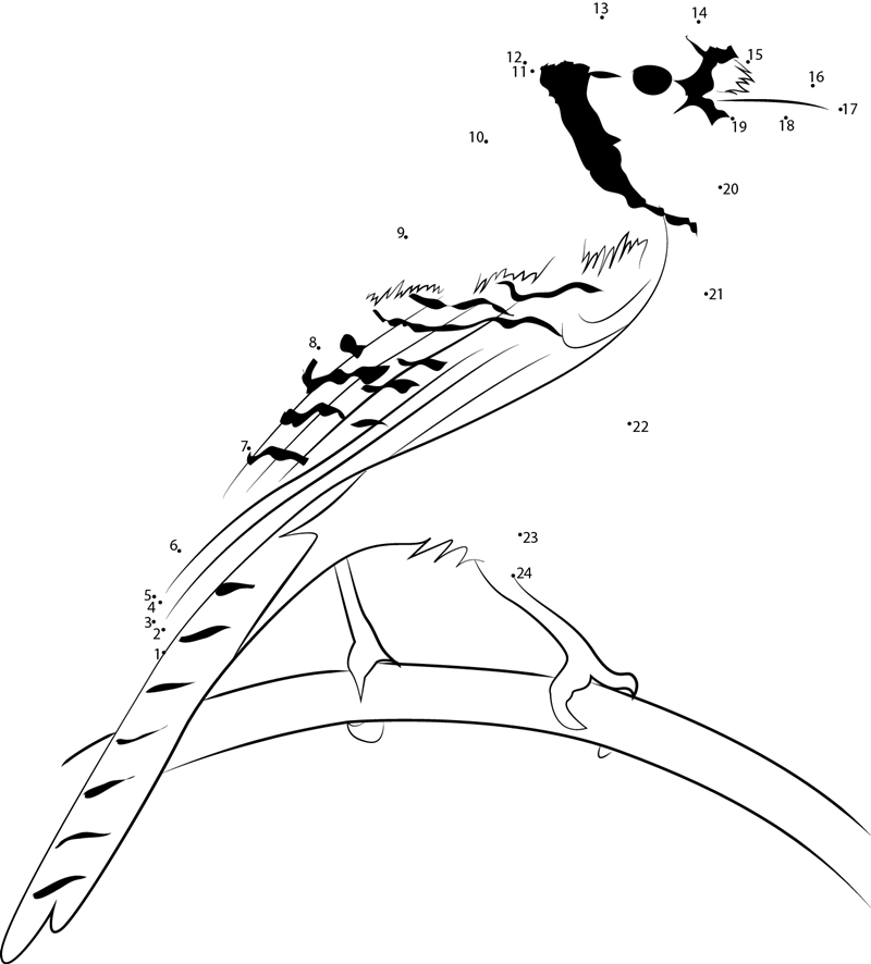 Male Perching On Pole Blue Jay printable dot to dot worksheet